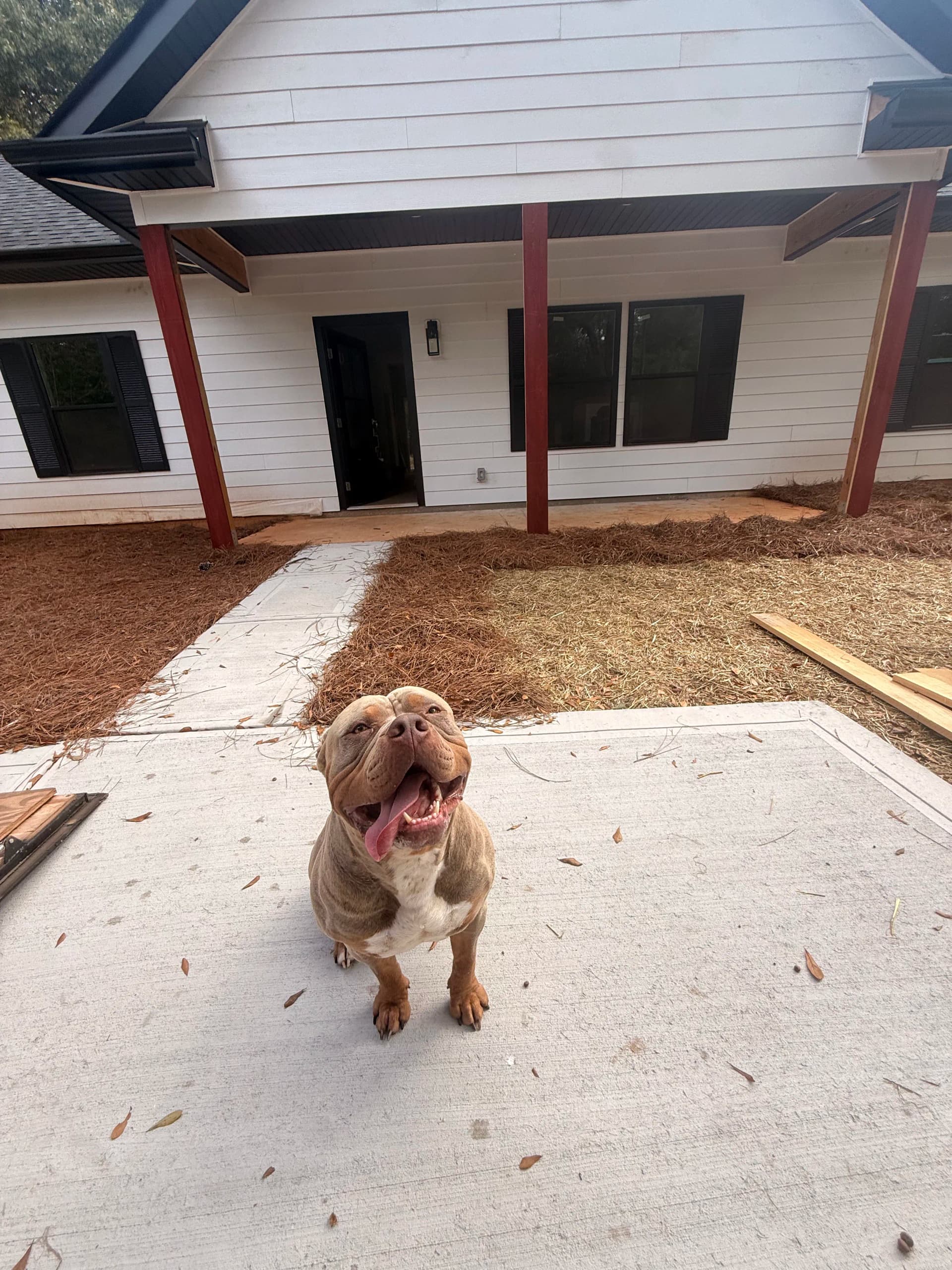 New Construction Siding on a Fresh Build Almost at the Finish Line image