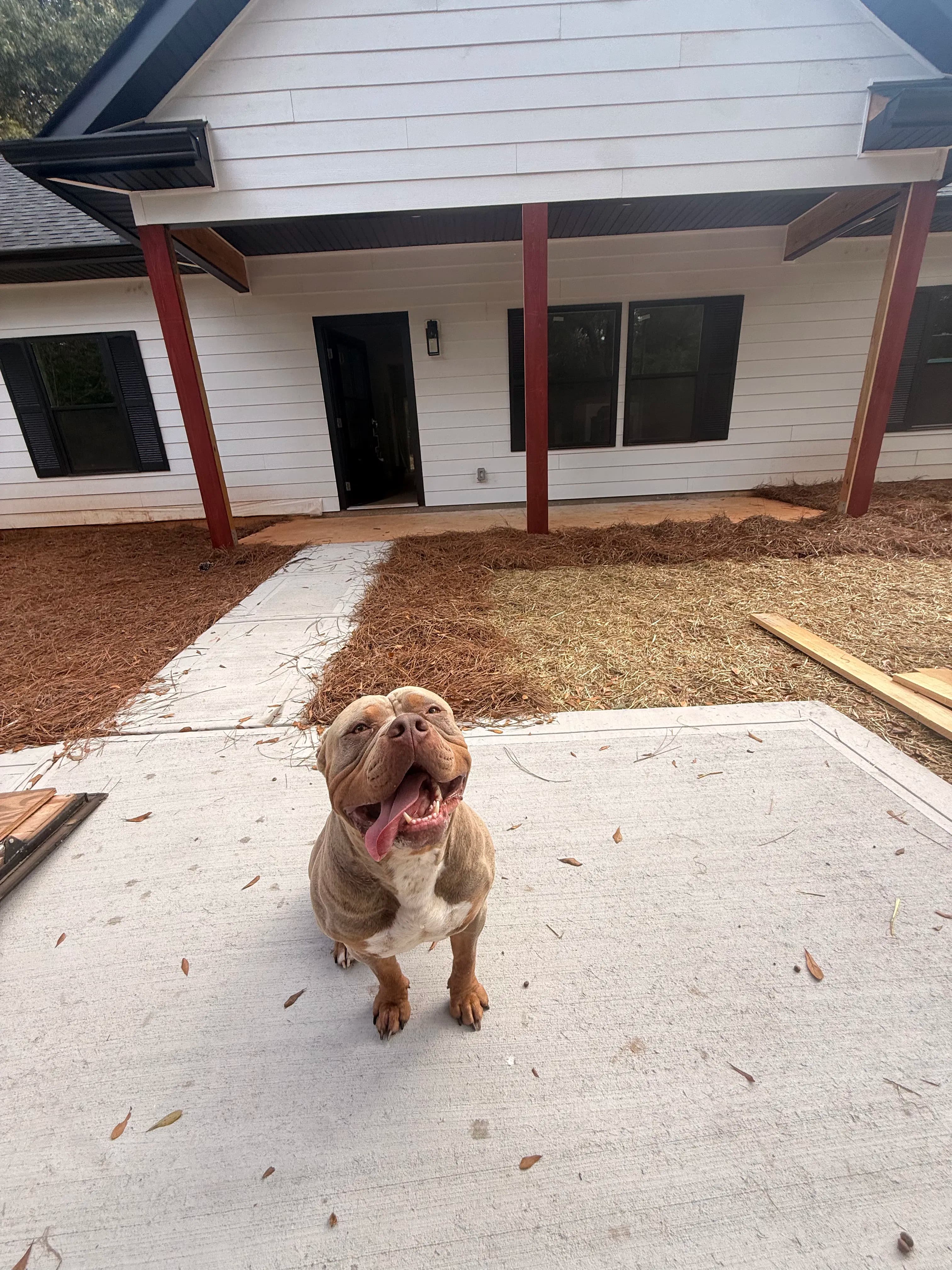 Project New Construction Siding on a Fresh Build Almost at the Finish Line image