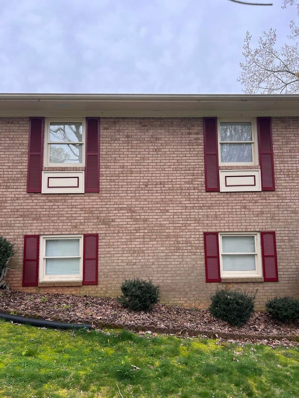 Two upper windows with red shutters on a brick house, surrounded by green shrubbery.